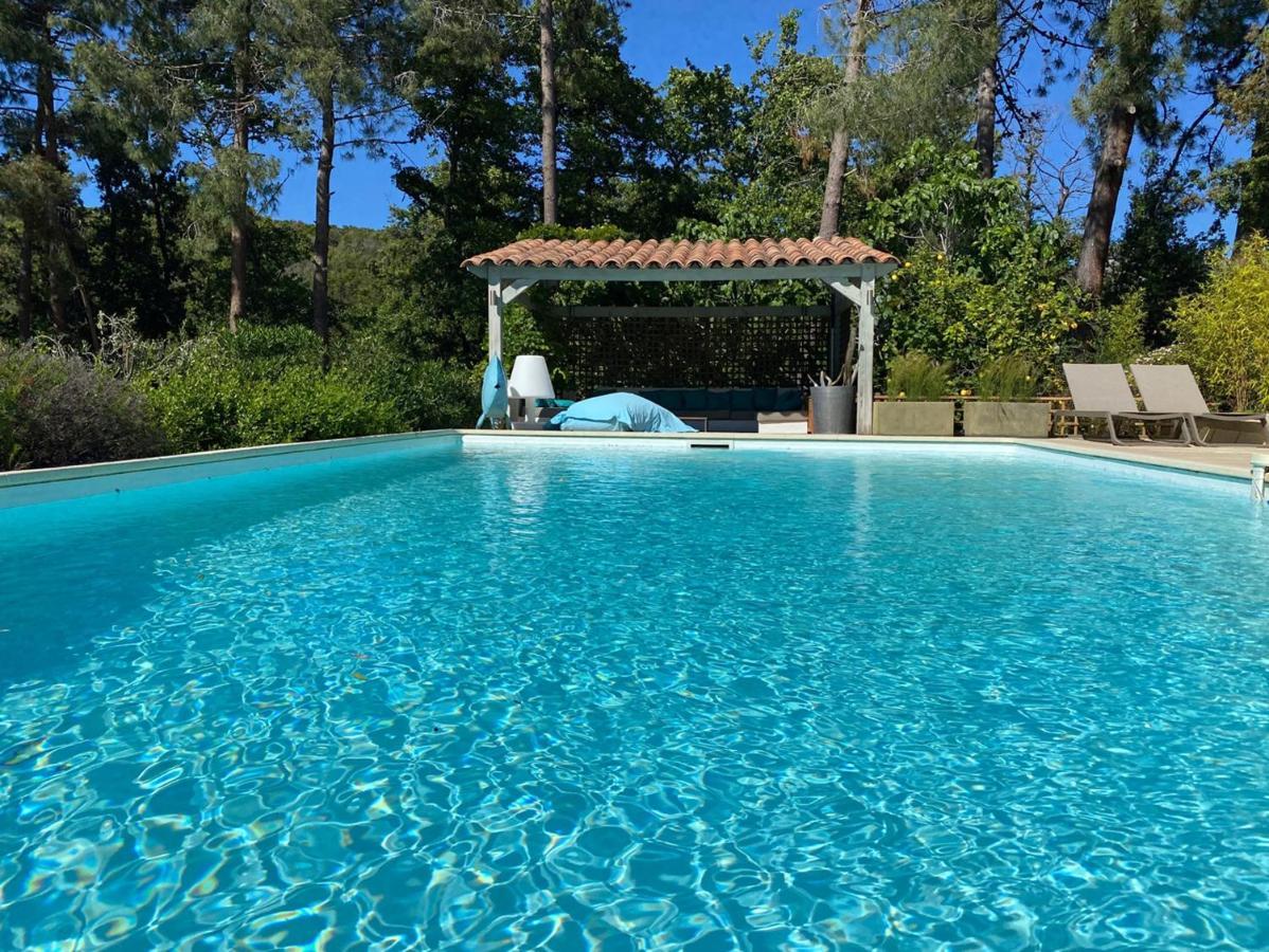 Villa Limone, Maison D'Hotes Calenzana Exteriör bild